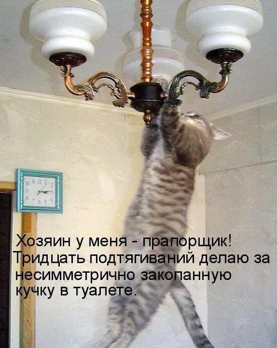 мзяин у меня пу рщик идцать подтяги й делаю за гсимметрично ЗЧ ЭННУЮ ц ку в туапе 6 і
