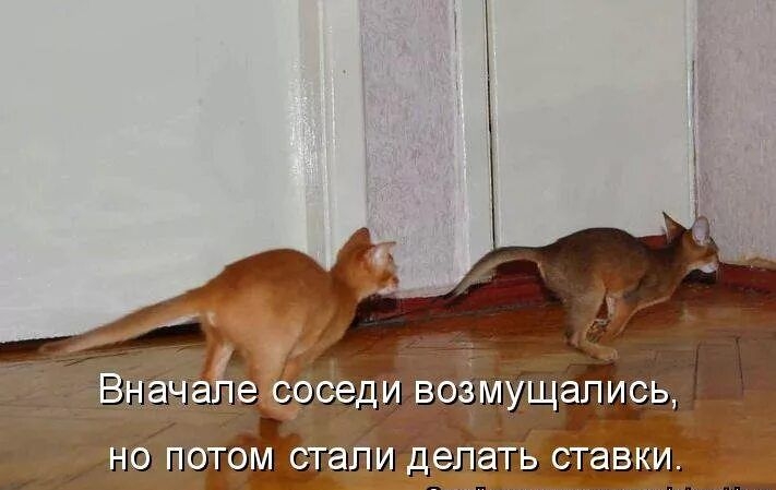 НО ПОтоМ СТЭ И епа