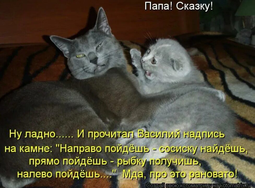 Папа Сказку прямо налево п