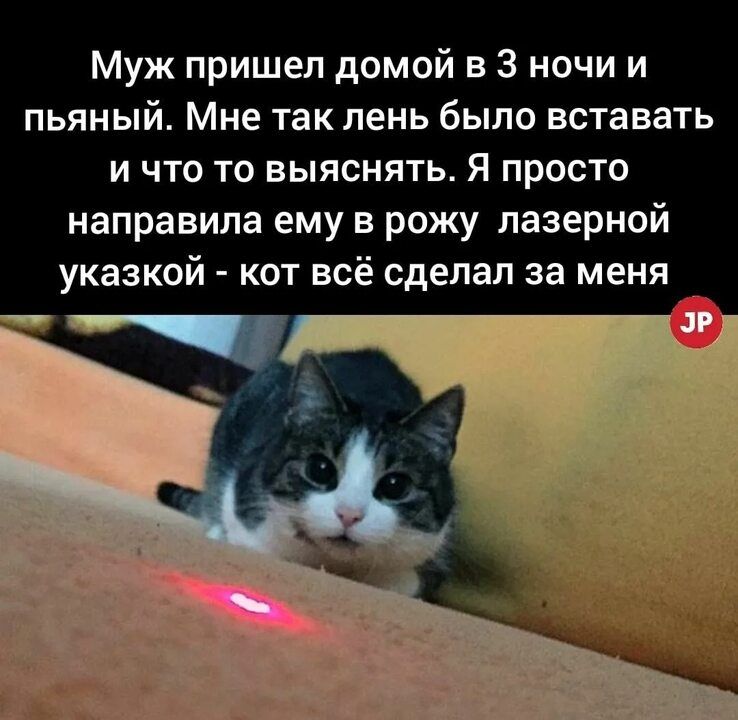 Муж пришел домой в 3 ночи и ПЬЯНЫЙ Мне так пень было ВОТЗВЗТЬ и что то выяснять Я просто направила ему в рожу лазерной указкой кот всё сделал за меня