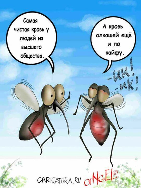 Сами чист кровь у людей из
