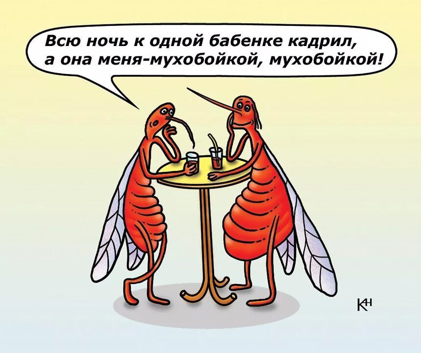 Всю ночь к одной бабеике кадрил а она меня мухабпйкой мухабойкпй