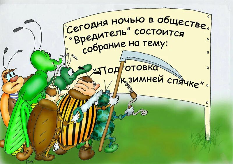 ад О Ю В Шеина С г ьсостоигсд в ин ед