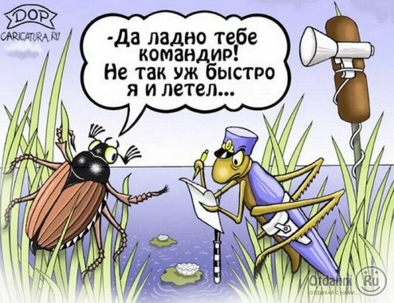 да ладно тебе комаи ир Не так уж ыстро я и летел