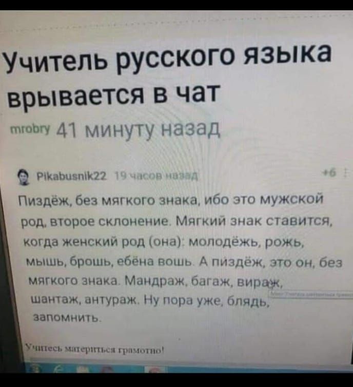 Учитель русского языка врывается в чат