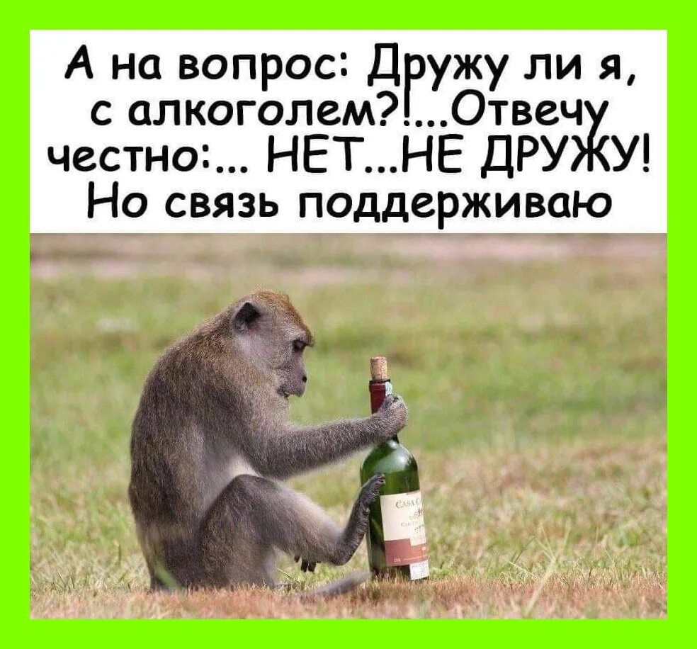 А на вопрос Дгужу ли я с алкоголем0твеч честно НЕТНЕ ДРУ У НО СВЯЗЬ поддерживаю _ _