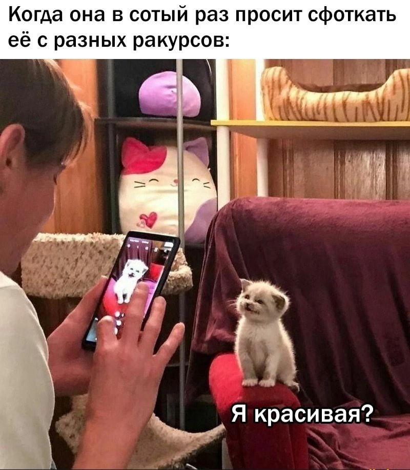 Когда она в сотый раз просит сфоткать её с разных ракурсов Я к асивая Р