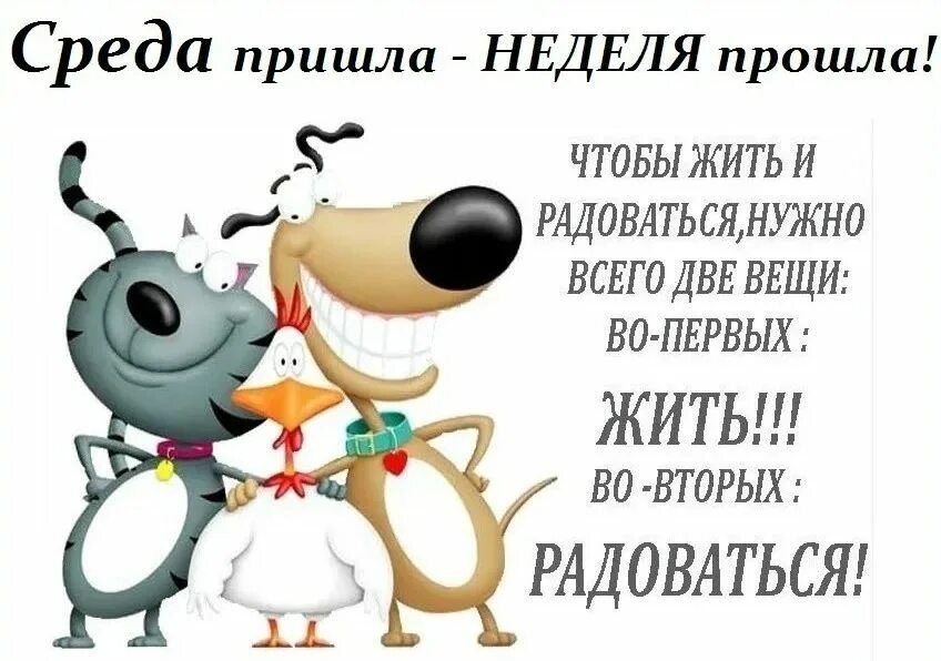 Среда приииш НЕДЕЛЯ прошла чтовыжитьи тдовлтьщнужно ВСЕГО ДВЕ ВЕЩИ ЗП ПЕРВЫХ ЖИТЬ ВО ВТОРЫХ РАДОВАТЬСЯ