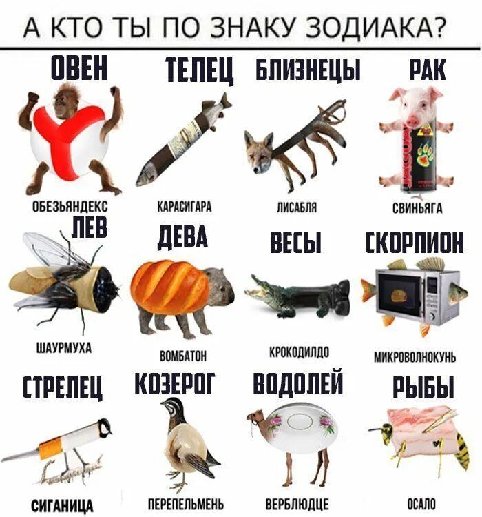 А кто ты по ЗНАКУ ЗОДИАКА ППЕН ТЕПЕЦ БЛИЗНЕЦЫ РАК ЁЙ15Ё пызмилщ шшгщ пиши кинь ХЛЕБ дім ПЕЕЫ КПРПИПИ З 1 шт помыл шшмлимт СТРЕЛЕЦ КПЗЕРШ ВПдППЕЙ пыны Ё М риши пшпшшшь цппшдпі ммп