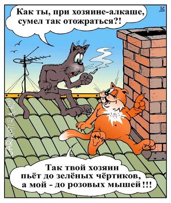 Как ты при хпзяиие алкаше сумел так атожраться 3 пьёт до зелёных чёртиков а мой дп розовых мышей