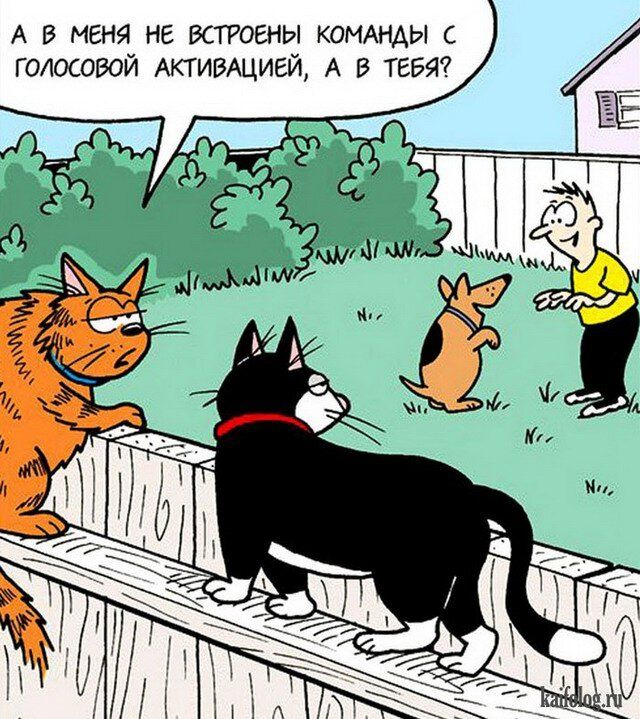 А в меня не штаны коижиды голосовой АКТИВАЦИЕЙ А в ТЕБЯ