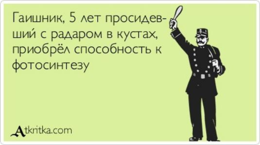 Гаишник 5 Ает просиАев ший с радаром в кустах приобрёА способность фотосинтезу Авиша