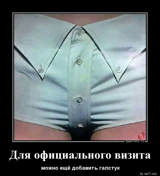 Для официального визита можно ощі дпбапить галстук