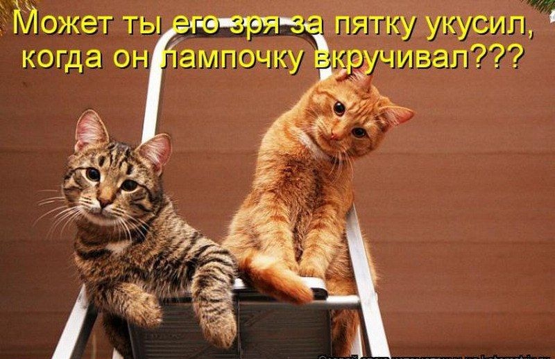 Может ты е еря когда он ампочку пятку укусил ЁЁ Р