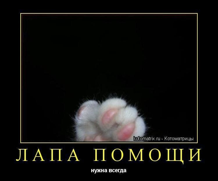 щ Ктштиш ЛАПА ПОМОЩИ инди