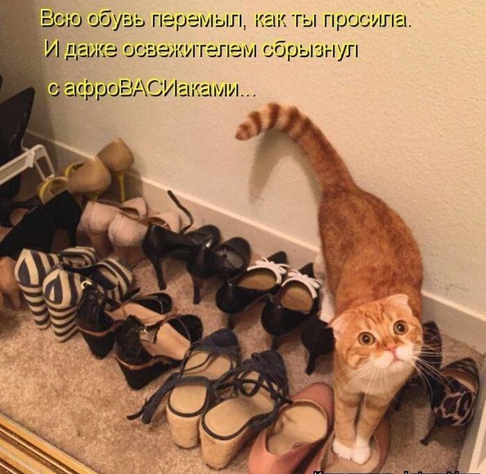 ь і гы Просила шшнуп асррОЩАСУ