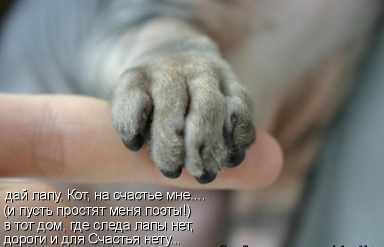 А на ЧЩ ЁЁ