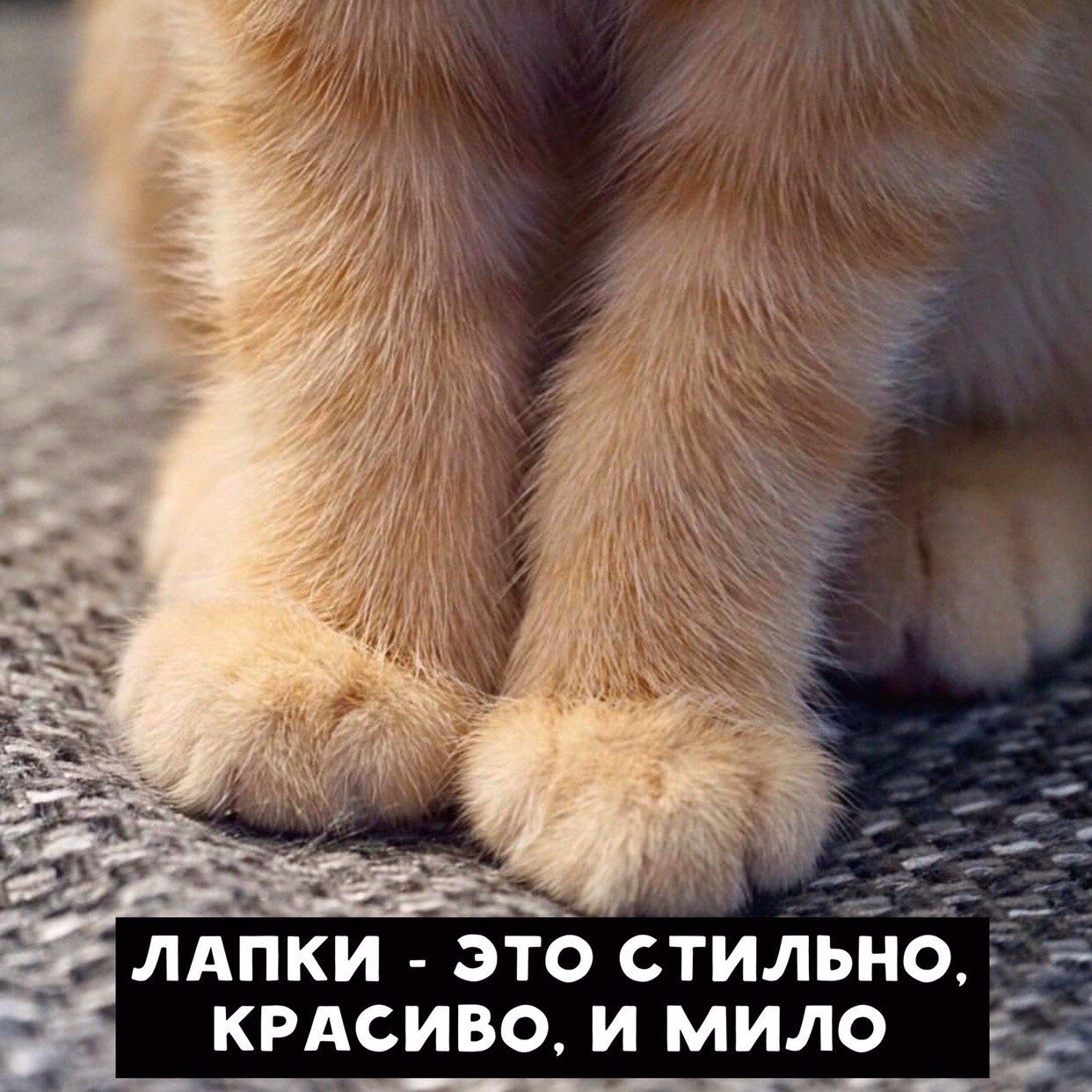 ляпки это стильно к__РАсиво и мило Г