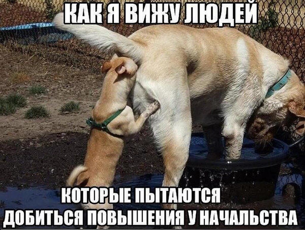 ИПТШЫЕ ЫТАЮТБЯ дПБИТЪШ ЫШШИ АШЬВТМ