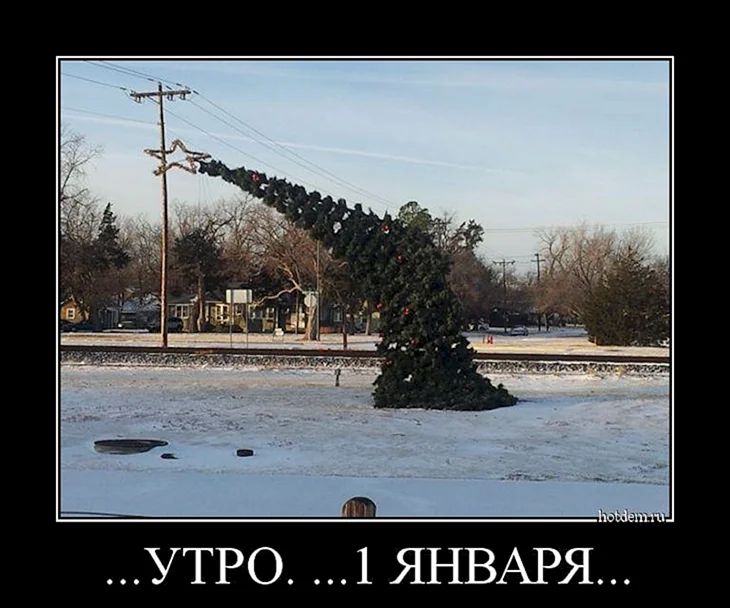 УТРО 1 ЯНВАРЯ