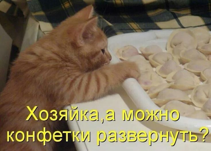 5 _ 31 51 ю кли раьзериутгы Хозя конфет