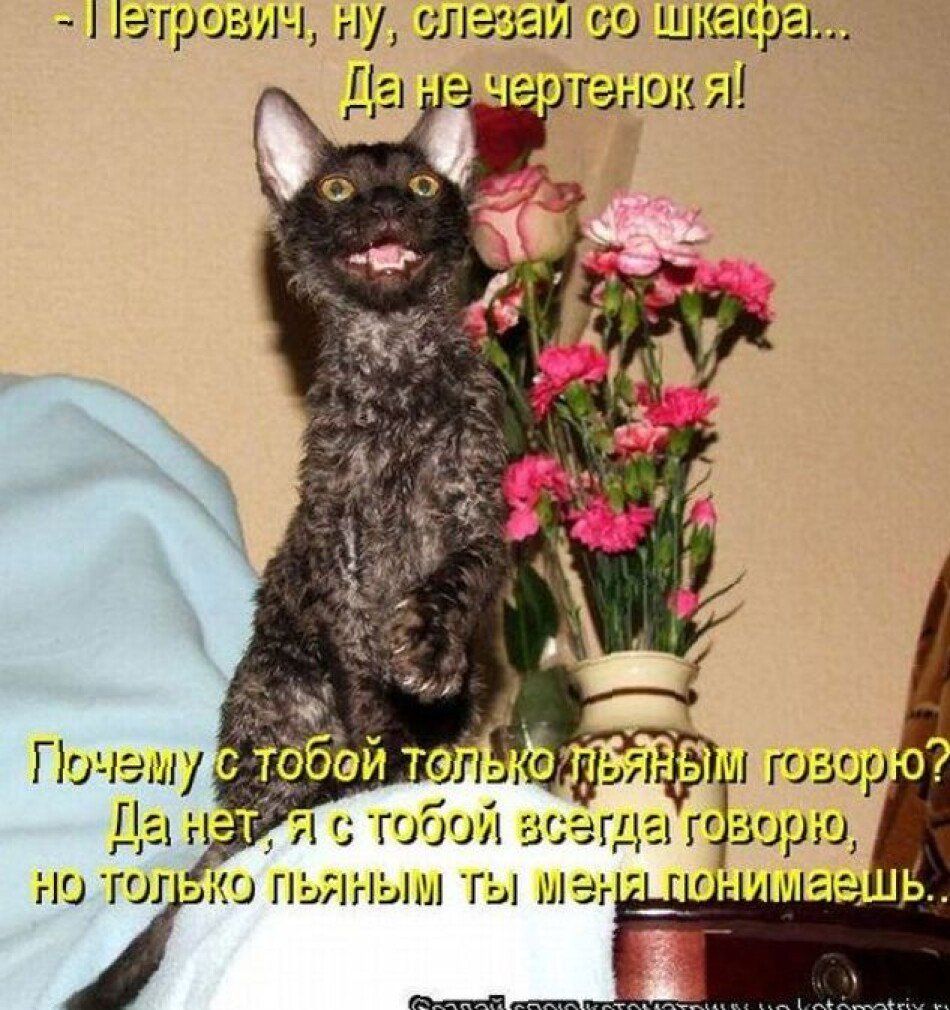 ч шир мігьы гэгзирш у