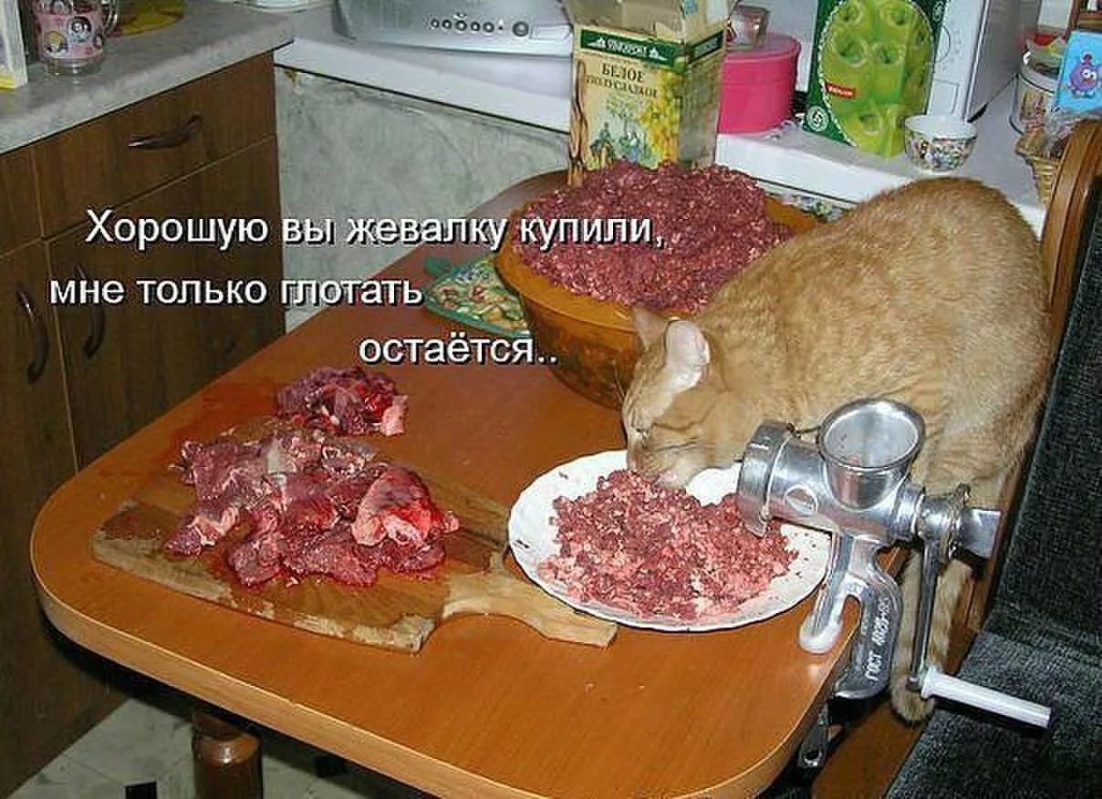 Хпрошую мне ТОЛЬКО