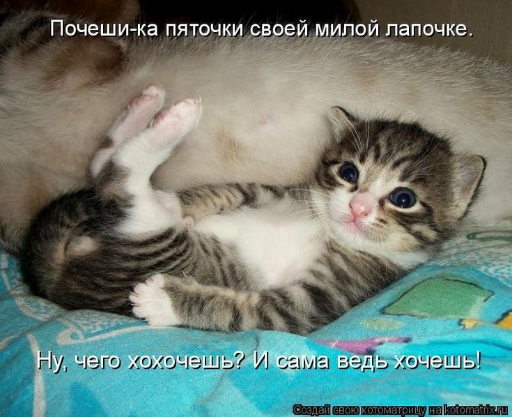 Почеши ка пяточки св пей мипойпапочке