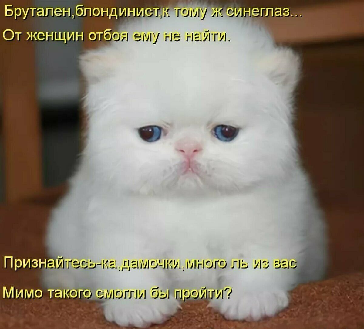 ш 11ЛгШГО из и могли бы и