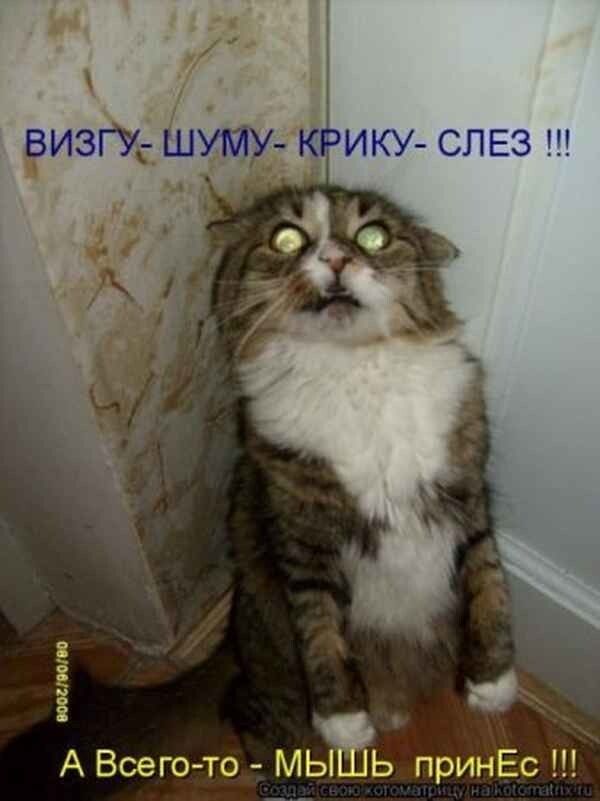 ь принЕс ш