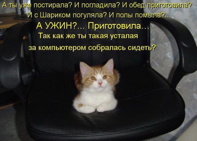 потирала и погладила и Шариком погуляла И полы по А УЖИН Приготовила Так как же ты такая усталая за кимпыотером собралась виде