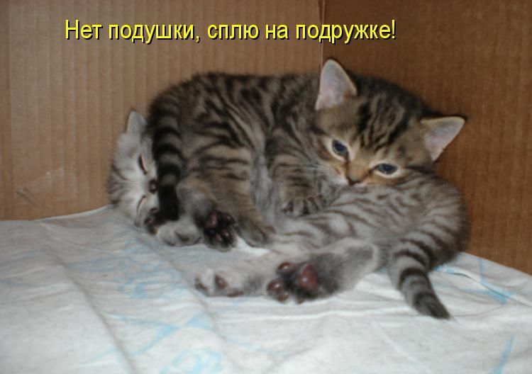 Нет подушки сплю на подружке д 5955 у _ Ъ ___ _