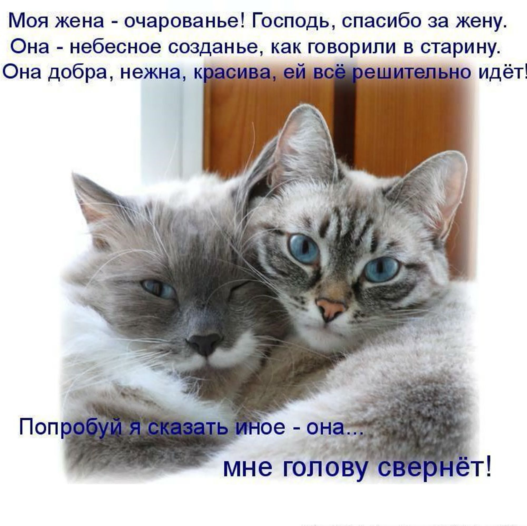 Моя жена очарованье Господь спасибо за жену Она небесное свиданье как говорили в старину Она добра нежна к _ идёт
