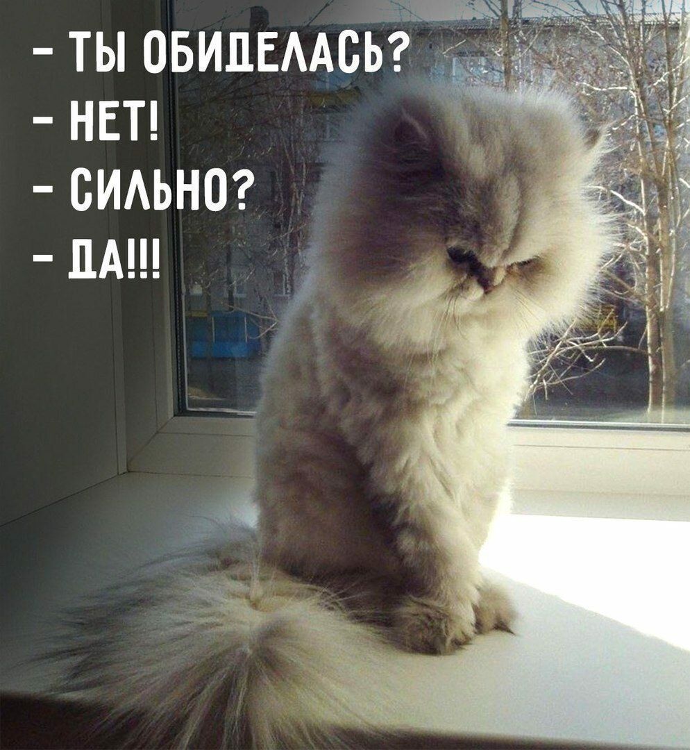ТЫ ОБИЛЕААСЬ НЕТ СИАЬНО ЦА