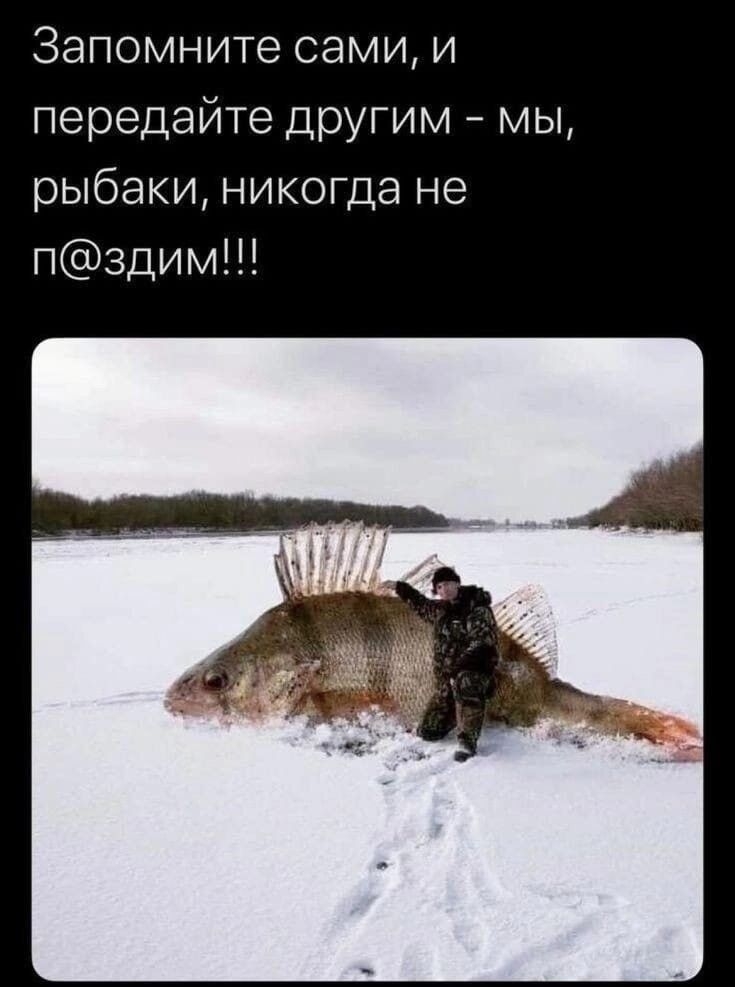 Запомните сами и передайТе другим мы рыбаки никогда не пздим1