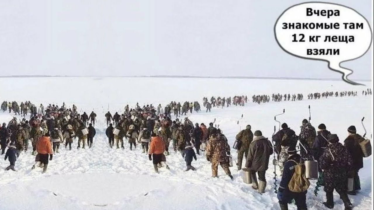 вчера знакомые так п кг леща пили к ит и пил
