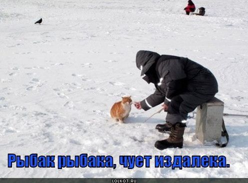 О