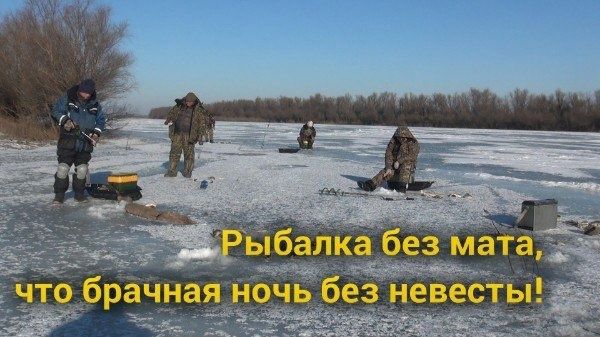 ыбапкаібез мата _ Щ рачная ночь без невес ы