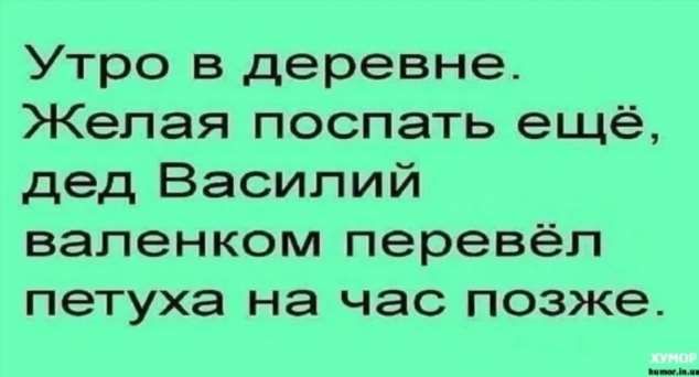 Утро в деревне Желая поспать ещё дед Василий валенком перевёл петуха на час позже