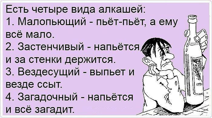 Есть четыре вида алкашей 1 Мапопьющий пьёт пьёт а ему все мало 2 Застенчивый напьётся и за стенки держится 3 Вездесущий выпьет и везде ссыт 4 Загадочный напьётся и всё загадит