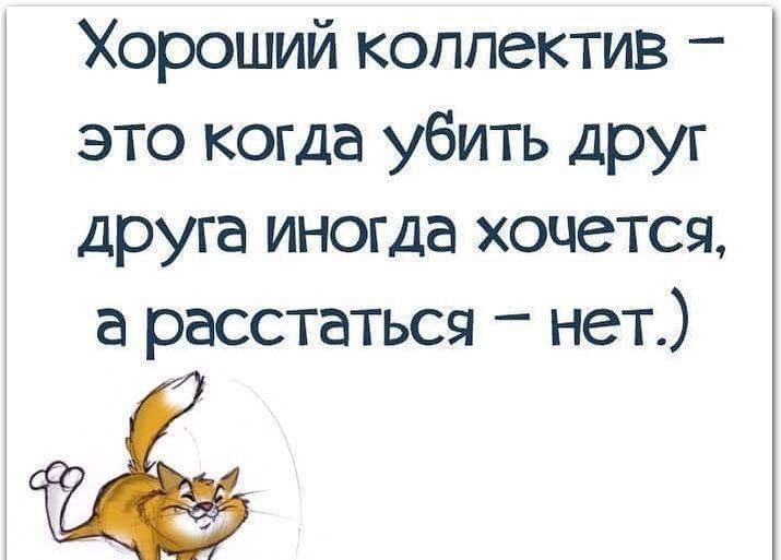 Хороший коппектив это когда убить друг друга иногда хочется а расстаться нет т