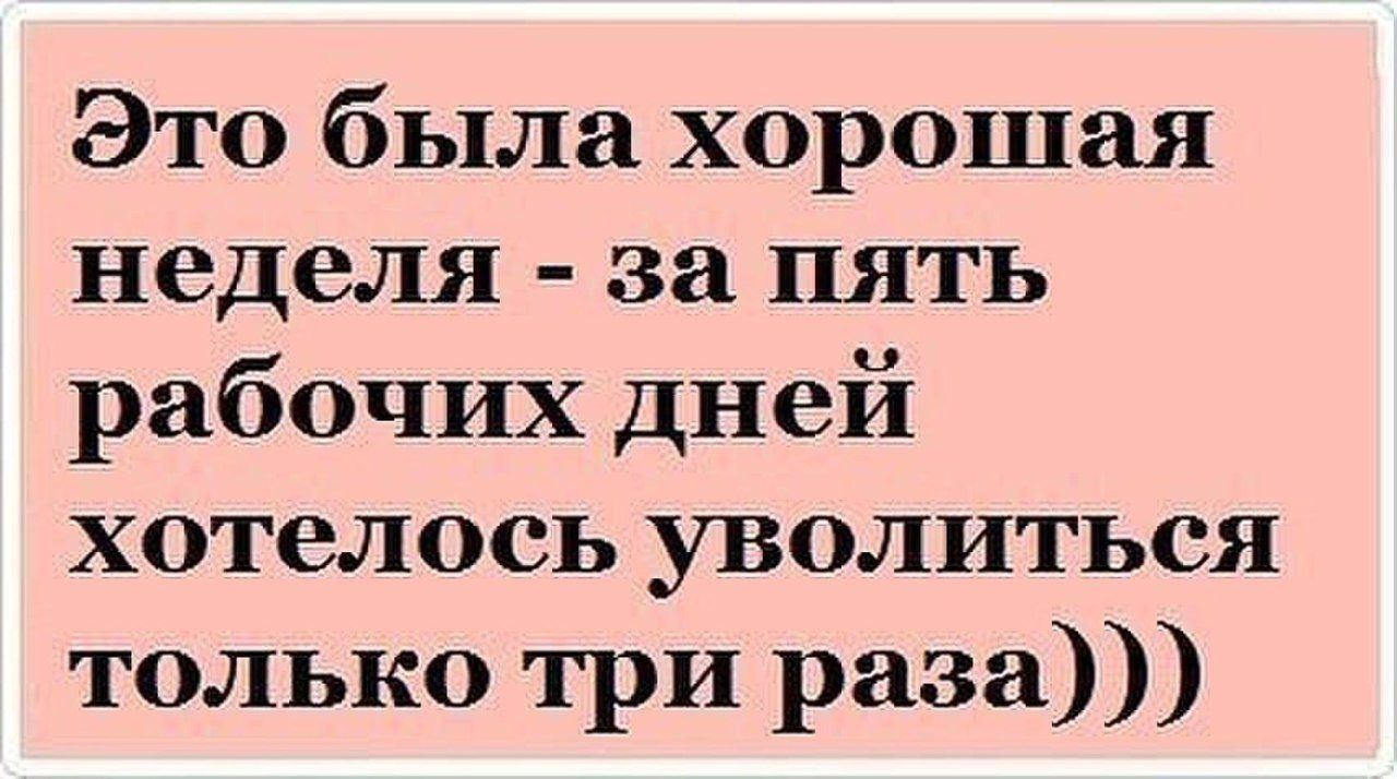 Это была хорошая неделя за пять рабочих дней хотелось уволиться только три раза