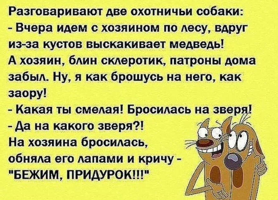 Разговаривают две охотничьи собаки Вчера идем с хозяином по лесу вдруг из за кустов выскакивает медведь А хозяин блин склеротик патроны дома забыл Ну я как брошусь на него как заору Какая ты смелая Бросилась на звер Да на какого зверя ь На хозяина бросилась обняла его лапами и кричу БЕЖИМ ПРИДУРОК