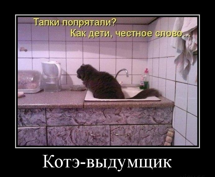 Котэ выдумщик