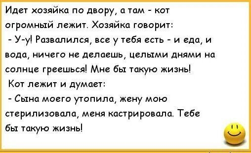 Идет хозяйка по двору а там кот огромный лежит Хозяйка говорит У у Развалился у ибя есть и еда и вода ничего делаешь целыми днями на солнце грпшься Мне бы такую жизнь ы лежит и думает Сына моего утопилщ жену мою стерилизации меня мигрировала Тебе Бы такую жизнь