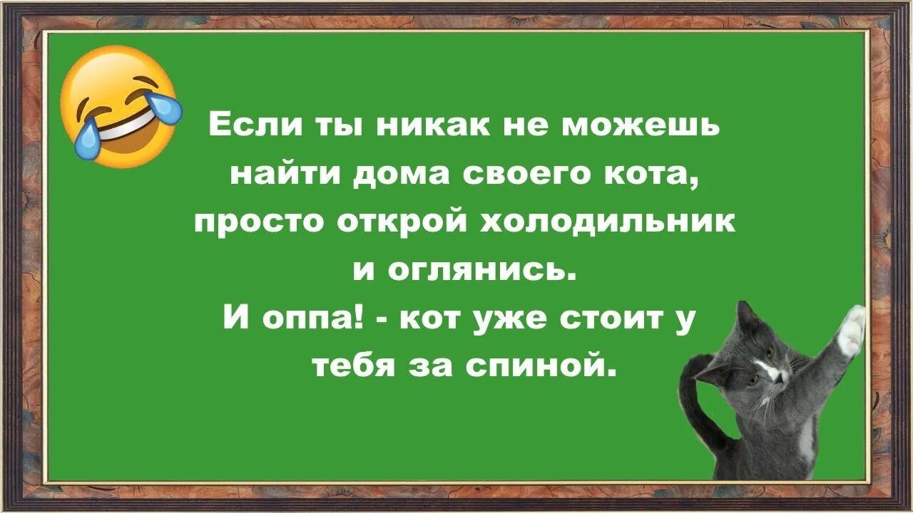 кайт дом своего има проси открой холодильник и пгт им и цим км уж стоит у еіп спиной