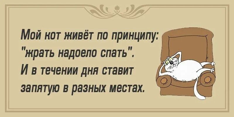 Мой кит живёт по принципу жрать надоела спать И в течении дня ставит запятую в разных местах