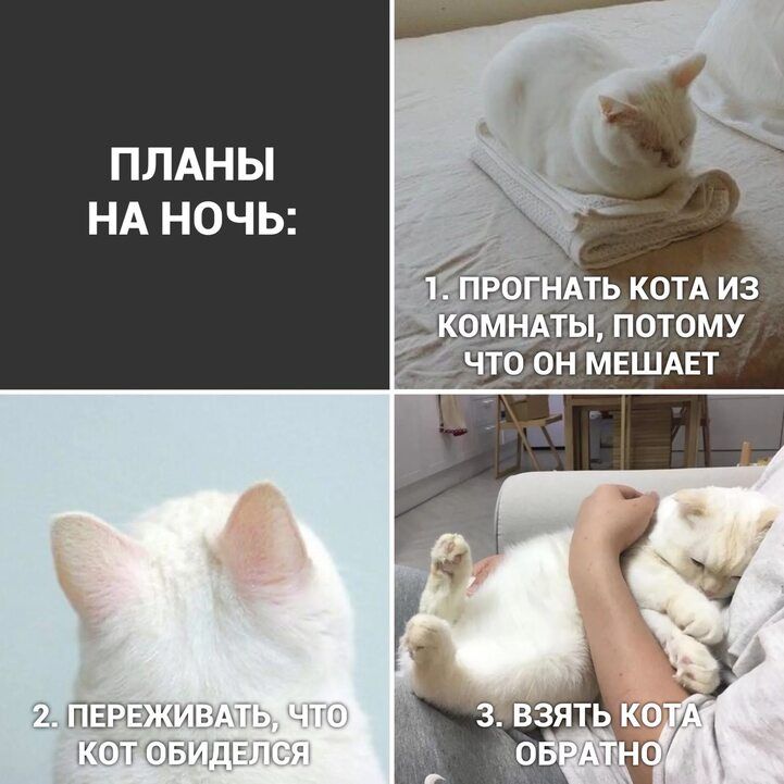 ПЛАНЫ НА НОЧЬ