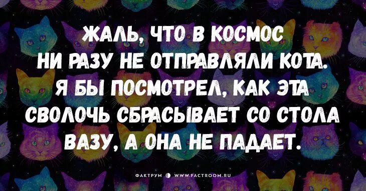 ЖААЬ ЧТО В космос НИ ШУ НЕ ОТПРАВАЯАИ КО Я БЫ ПОСМОТРЕА КАК ЗП СВОАОЧЬ СБМСЫВАЕТ 00 СТОЛА БАЗУ А ПНА НЕ ПАААЕТ