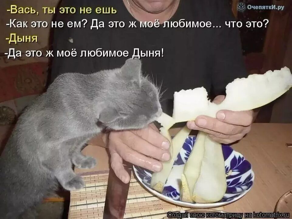 Высь ты это не ешь Ы Как эти не ем Да спо ж юбимве что это дыня Да это ж моё пюбимве ыня